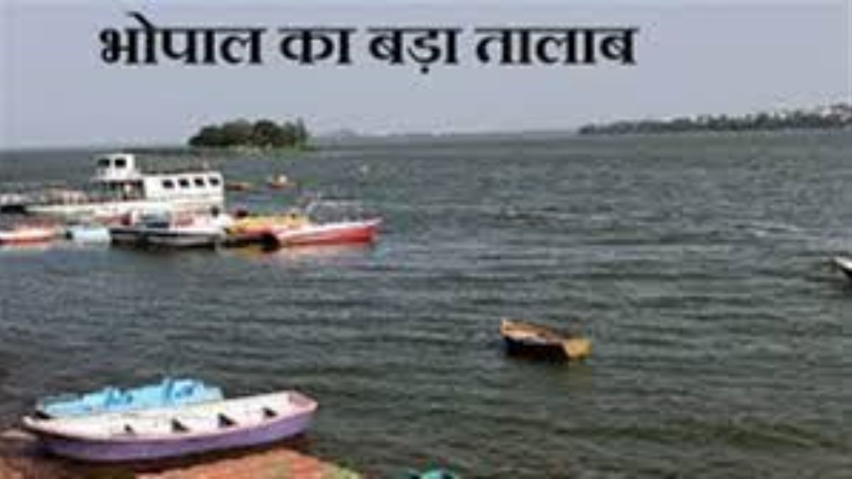 naidunia_image